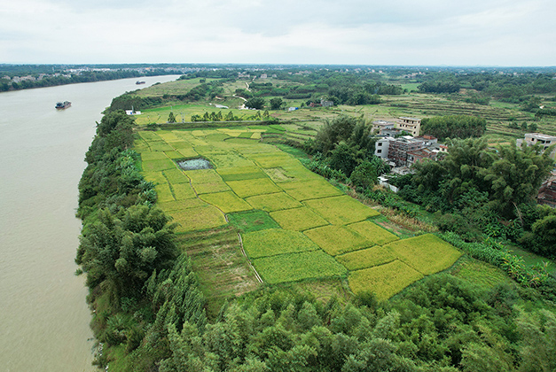 項目實(shí)景圖