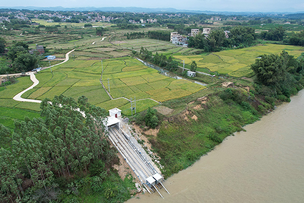 項目實(shí)景圖